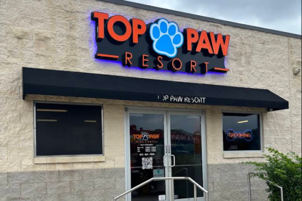 Lighted Channel Letters on Backplate with Backlights - Top Paw Resort